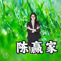 陈赢家